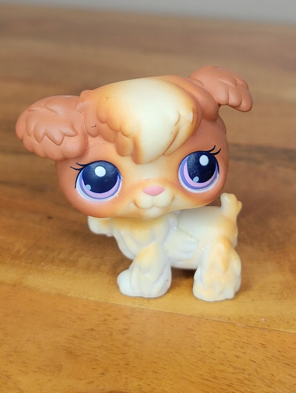 Hasbro Littlest Pet Shop Poodle #37 Figurine Toy LPS 2004